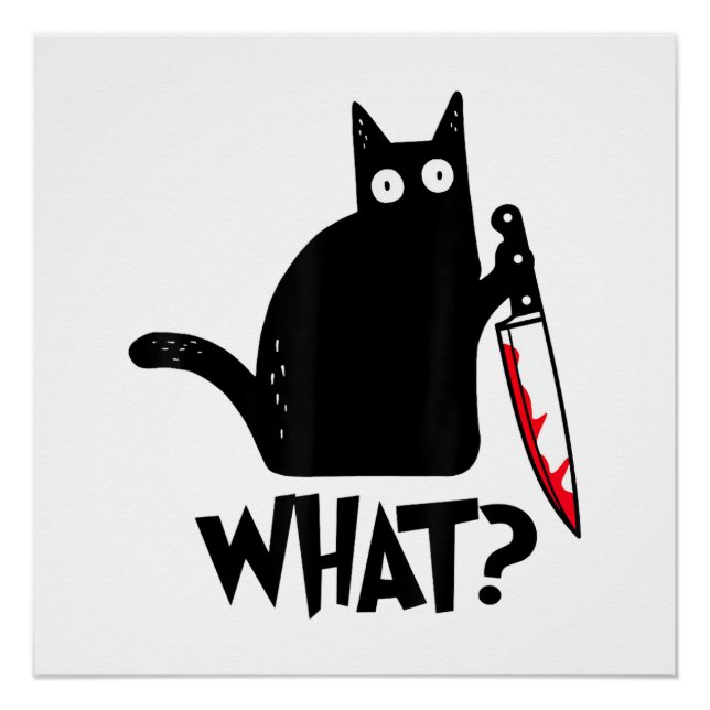 Póster Gato Que_ Engraçado Gato Preto  (Frente)