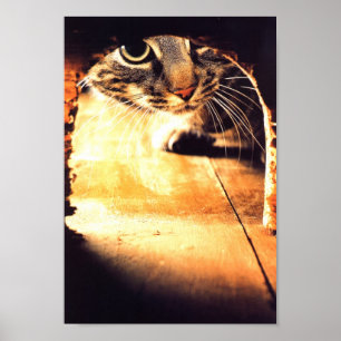 Poster Gato que espreita no furo do rato