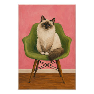 Póster Gato Ragdoll Cadeira Verde Meados do Século