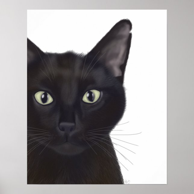 Poster Gato, Retrato de Gus (Frente)