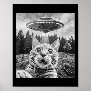 Poster Gato Selfie Com Disco Voador Alien Funny Cat Para 