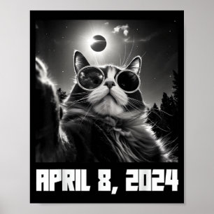 Poster Gato Selfie Engraçado do Eclipse Total do Sol