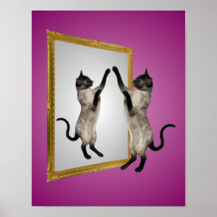 Poster Gato Siamês Num Animal Espelho