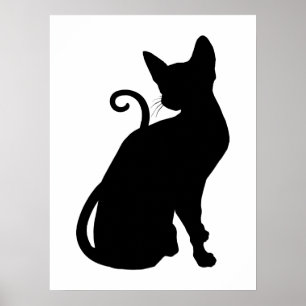 Poster Gato Silhouette