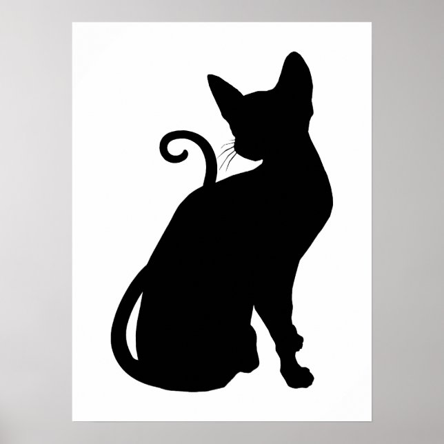 Poster Gato Silhouette (Frente)