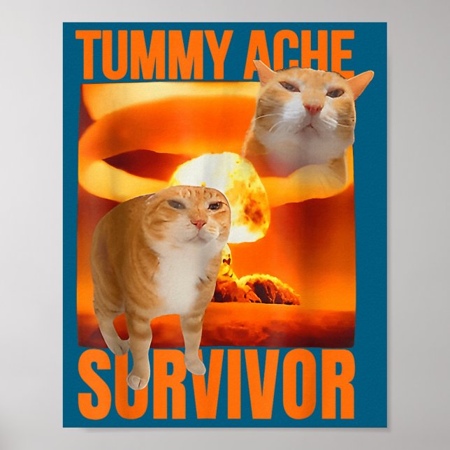 Poster Gato Sobrevivente de Dor de Barriga Meme Piada Div (Frente)