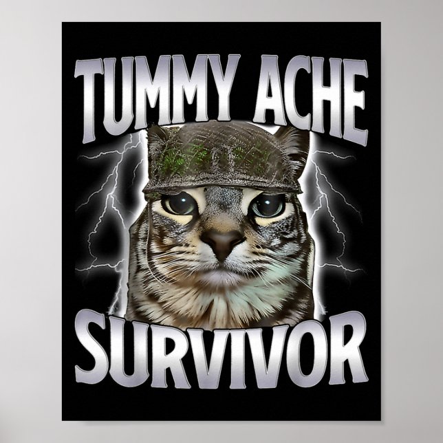 Poster Gato Sobrevivente de Dor de Barriga Meme Piada Div (Frente)