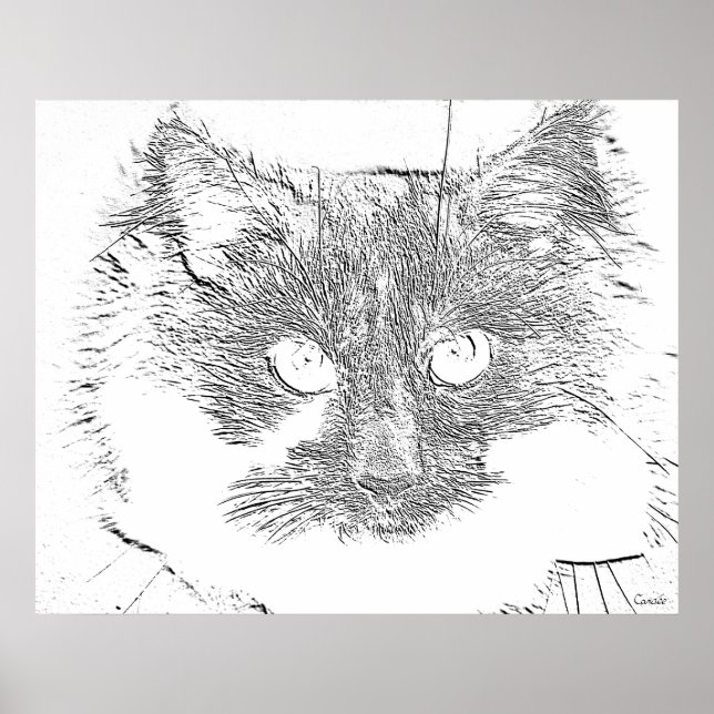 Póster gato sortudo (Frente)