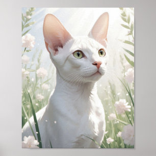 Poster Gato Sphynx Branco e Flores