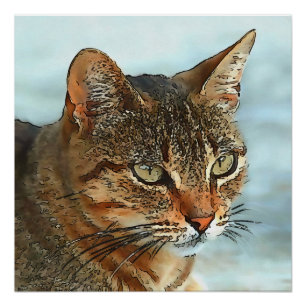 Póster Gato Tabby com Contorno Preto em Estilo de Desenho