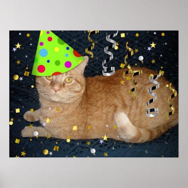 Póster Gato Tabby Laranja festa de aniversário (Frente)