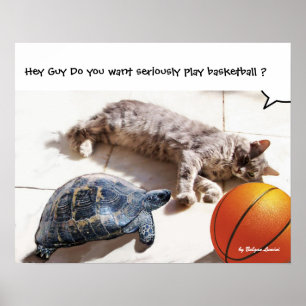 PÓSTER GATO, TARTARUGA E BASQUETEBOL