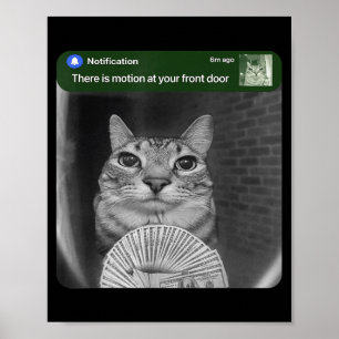 Poster Gato Tocando com Meme de Movimento