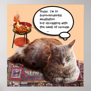 POSTER GATO TURCO EM MEDITAÇÃO TRANSCENDENTAL
