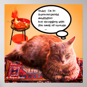 POSTER GATO TURCO EM MEDITAÇÃO TRANSCENDENTAL