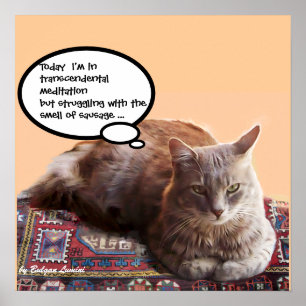 POSTER GATO TURCO EM MEDITAÇÃO TRANSCENDENTAL