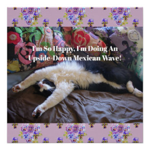 Póster Gato Tuxedo Engraçado Fofo fazendo uma Onda Mexica