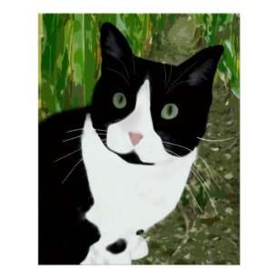 Póster Gato Tuxedo no Milharal