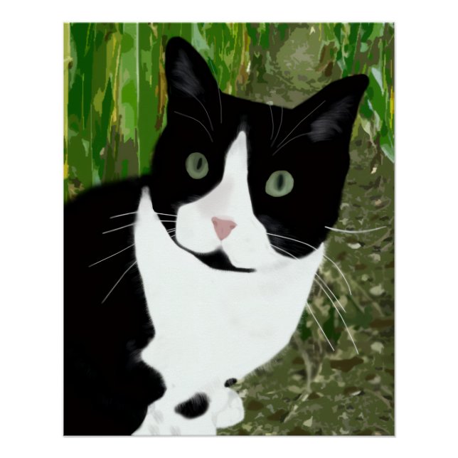 Póster Gato Tuxedo no Milharal (Frente)