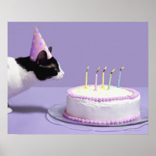 Poster Gato vestindo chapéu de aniversário soprando velas