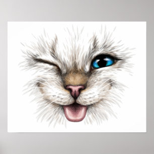 Poster Gato Winking