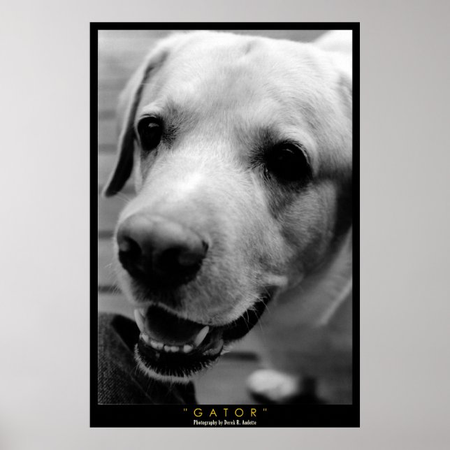 PÓSTER GATOR (Frente)