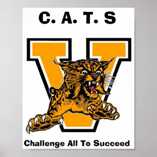PÓSTER GATOS
