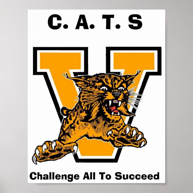 PÓSTER GATOS (Frente)