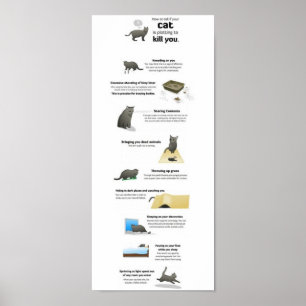 Póster Gatos