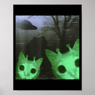 Poster Gatos Alienigenas Ovni Fofos Gatos Assustadores Me