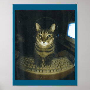 Poster Gatos Amantes de Gamer Sério Engraçado Gato Macho