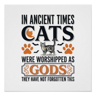 Póster Gatos Antigos Engraçados Adorados Como Deuses Cami