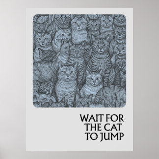 Poster Gatos-cruzados - provérbios