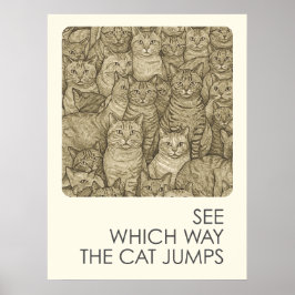 Poster Gatos-cruzados - provérbios