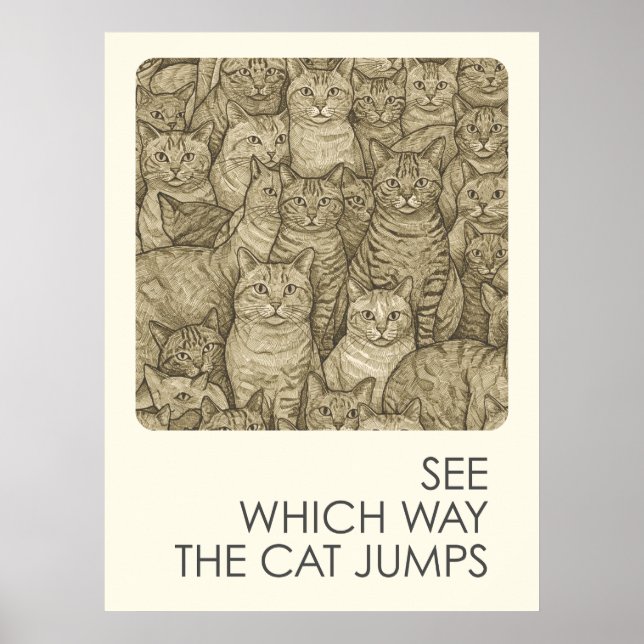 Poster Gatos-cruzados - provérbios (Frente)