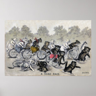 Póster Gatos De Corrida Bicicleta