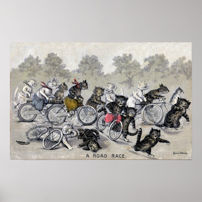 Póster Gatos De Corrida Bicicleta (Frente)