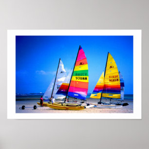 POSTER GATOS DE HOBIE NO JÉRSEI