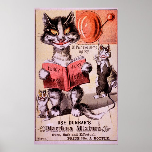 Poster Gatos Diarreia Mistura (Frente)