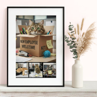 Póster Gatos Divertidos no Escritório - Poster de Foto, G