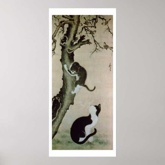 Póster Gatos do século XVII (tinta na seda) (Frente)