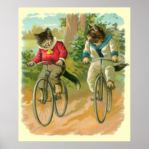 Póster Gatos do vintage na bicicleta