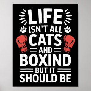 Poster Gatos E Boxing Engraçados