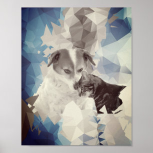 Poster Gatos e Cachorros apaixonados