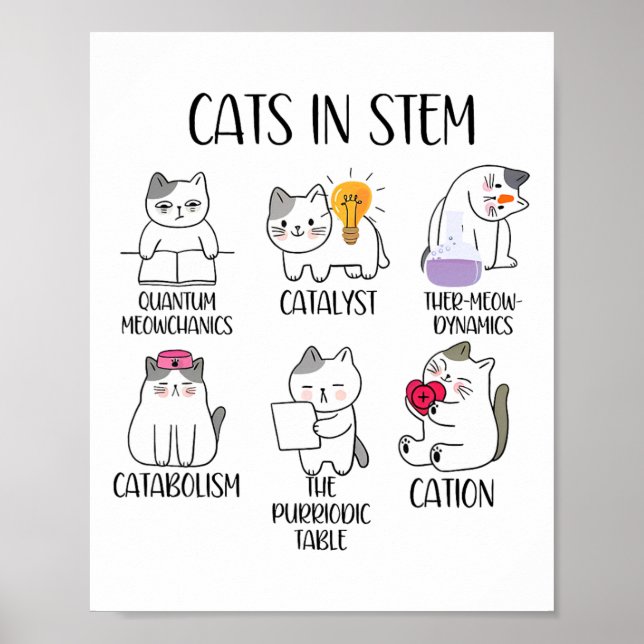 Poster Gatos Em Stem Meme Divertido De Ciência Cientista  (Frente)
