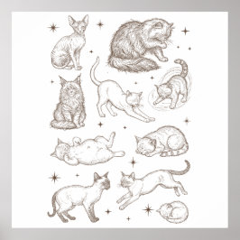 Poster Gatos Engraçados Antigos com Múltiplas Poses