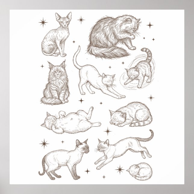 Poster Gatos Engraçados Antigos com Múltiplas Poses (Frente)