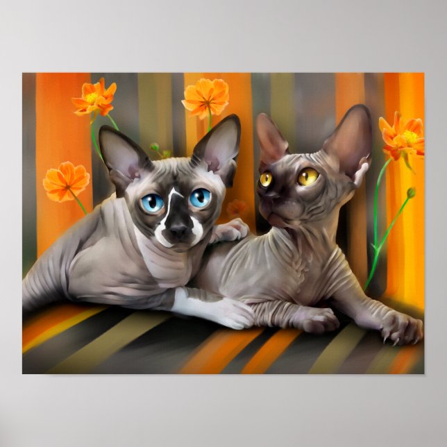 Poster Gatos Esfingx (Frente)