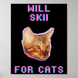 Poster Gatos Esquiando Para Gatos Divertida Aventura de I