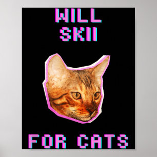 Poster Gatos fazendo esqui aventura engraçada de neve de